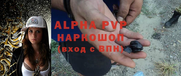 амф Елабуга