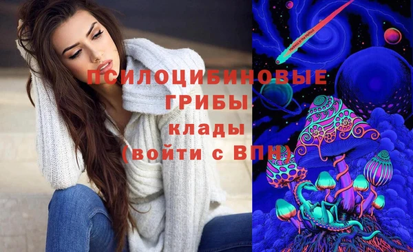 MDMA Елизово