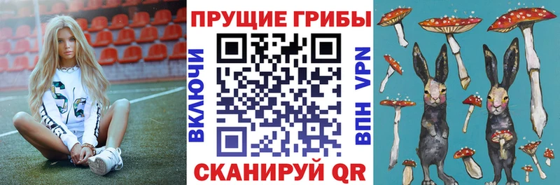 Псилоцибиновые грибы Cubensis  Купить закладки  Нея 
